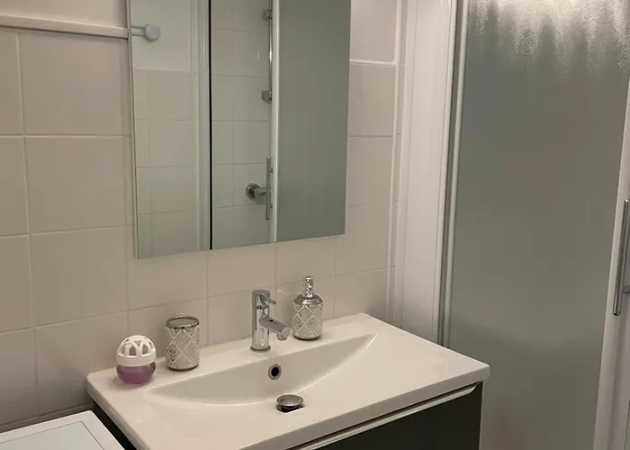 Apartamento Port Camargue, La Lagune, Tres Bel Avec Vue